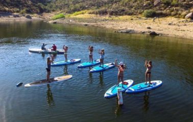 Paddle Board Rentals